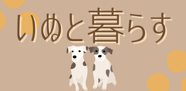 カワイイがいっぱい！ワンダーランド